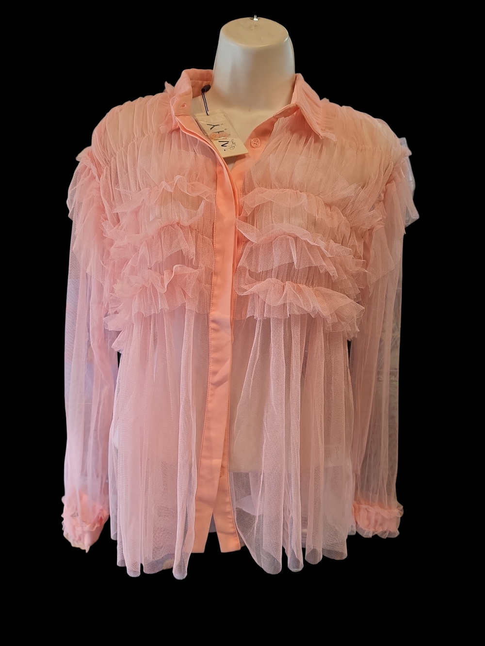 Why Sheer Pink Ruffle Button-Up Blouse